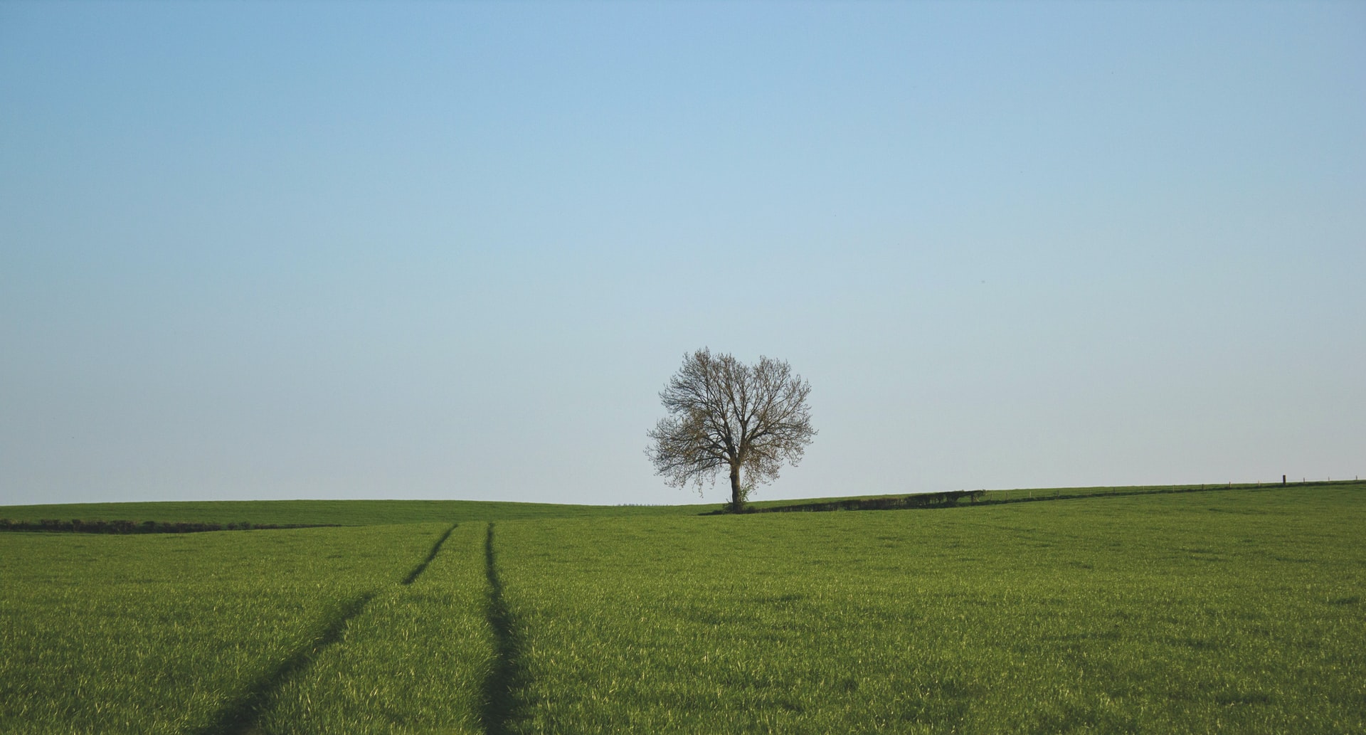 Progetto “Dona un libro al bosco”